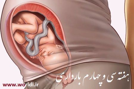 هفته 34 ام بارداری